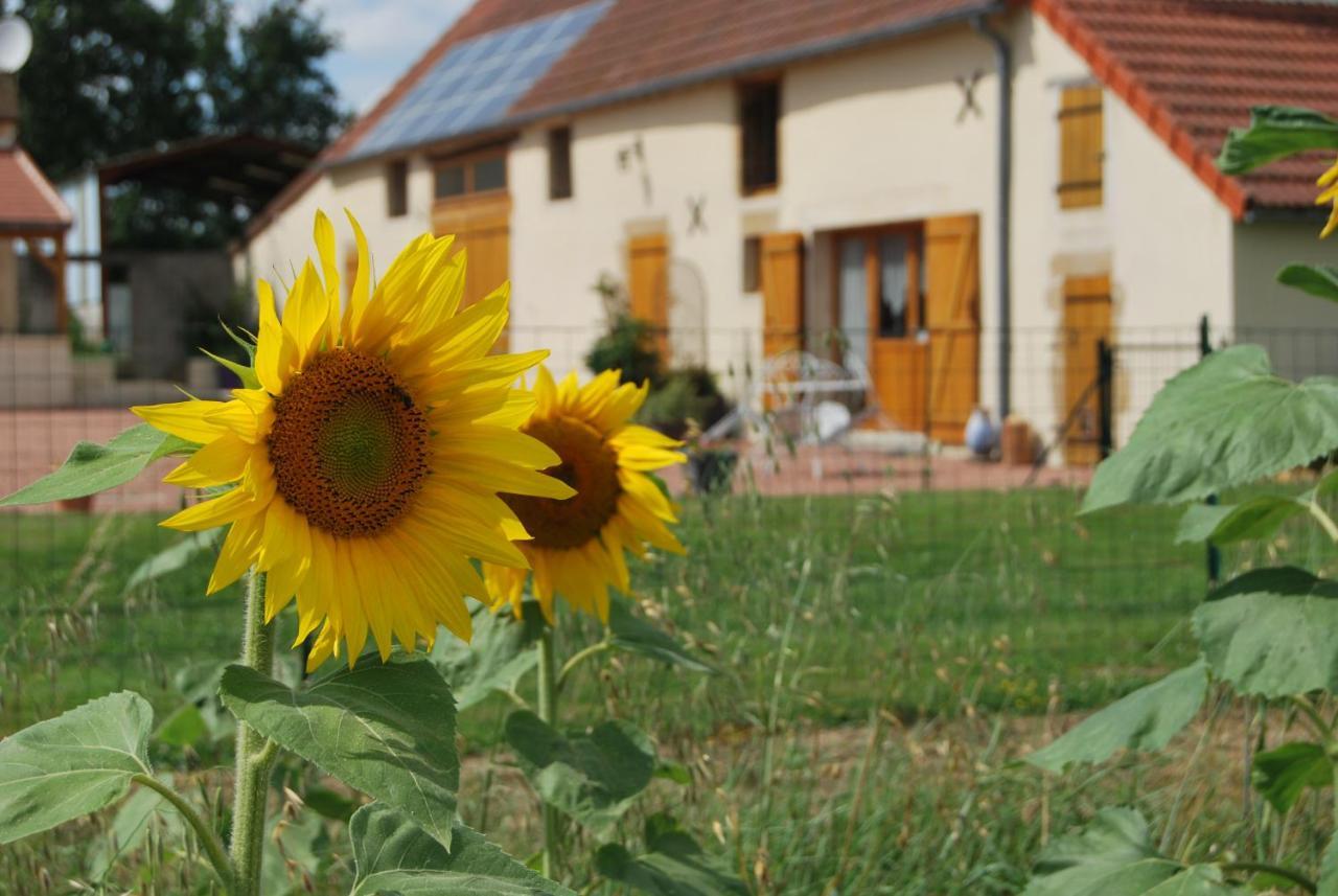 Gîte La Ferranderie Saint-Hilaire-de-Gondilly Habitación foto