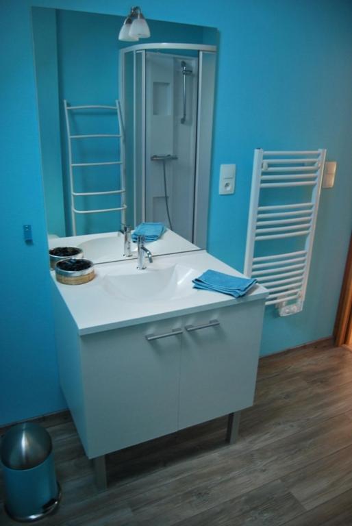 Gîte La Ferranderie Saint-Hilaire-de-Gondilly Habitación foto